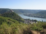 Rheinsteig #8 - Blick auf die Marksburg