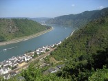 Rheinsteig #10 - Rheinblick