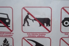 Karpaten - Bären füttern verboten