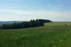 Sauersteig – Burghards Höhenflug Runde – Altena
