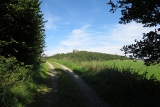 Sauersteig – Burg Wildenstein Runde – Assinghausen - Strücker Stein