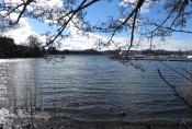 Djurgarden