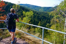 Thüringer Wald: Durch den Lauchagrund