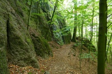 Thüringer Wald: Rund um die Wartburg