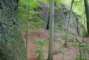 Thüringer Wald: Rund um die Wartburg