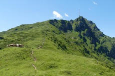 Kitzbüheler Alpen – Rund ums Kitzbüheler Horn
