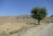 Usbekistan - Wanderung nach Khayat