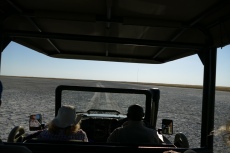 Botswana - Pirschfahrt in der Makgadigadi-Salzpfanne