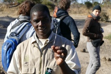 Botswana - Ranger Paladi zeigt einen Stachelschwein-Stachel