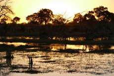 Botswana - Sonnenuntergang am Khwai