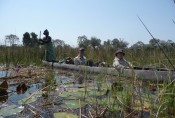 Botswana - Mokoro-Fahrt im Okavangodelta
