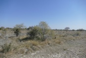 Namibia - Öde Kalahari