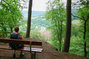 Read more about the article NaturWanderPark delux: Felsenweg – Beaufort
