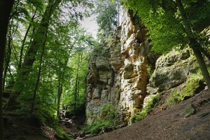 Read more about the article NaturWanderPark delux: Teufelsschlucht und Irreler Wasserfälle
