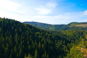 Read more about the article Thüringer Wald: Durch den Lauchagrund