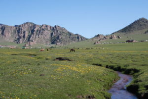 Read more about the article Mongolei – Im Terelj-Nationalpark