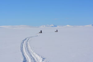 Read more about the article Lapplands Drag – Husky Expedition: Aufstieg aufs Hochplateau
